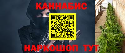 стафф Новозыбков