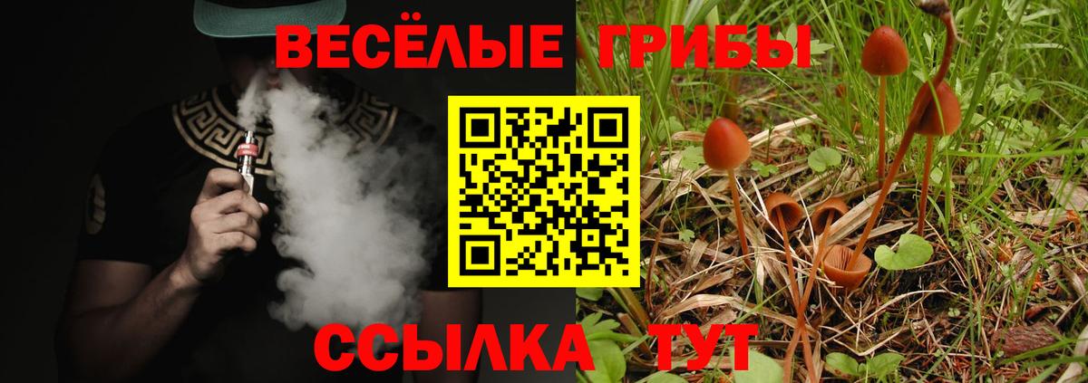 Псилоцибиновые грибы GOLDEN TEACHER  Псилоцибиновые грибы GOLDEN TEACHER  Нововоронеж  Вход с VPN 