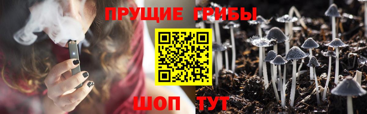 Псилоцибиновые грибы ЛСД Нововоронеж